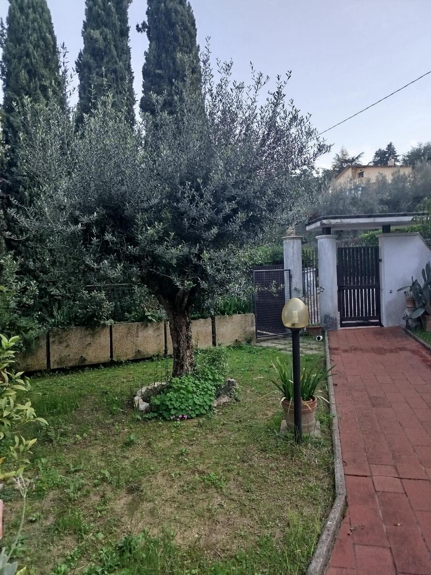 Minu Perugia